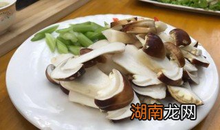 赤松茸怎么做好吃 干松茸怎么泡发和吃法