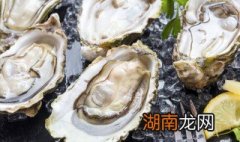 金蚝干的七种做法大全 干蚝的吃法与做法