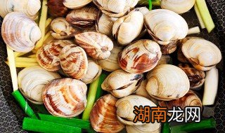 美贝怎么做好吃 海鲜美贝怎么做好吃