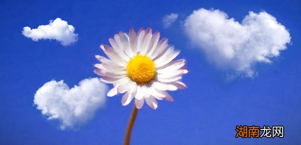 人脸如何打马赛克