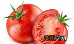 西红柿怎么吃最有营养芭芭农场 西红柿怎么吃最有营养