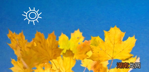 python如何保存文件？