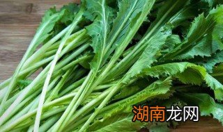 腌制的雪里红菜怎么做好吃 雪里红菜怎么做好吃