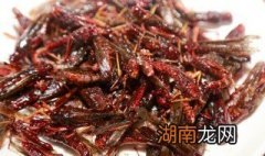 怎么做香酥油炸蚂蚱好吃 怎么做香酥油炸蚂蚱