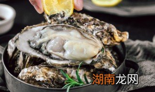 乳山生蚝怎么吃最正确的方法 乳山生蚝