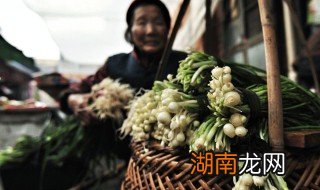 大脑瓜的腌制方法窍门 大脑瓜的腌制方法