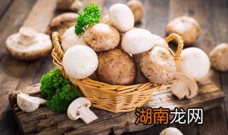 鲜香菇必须焯水吗 香菇直接炒还是焯水