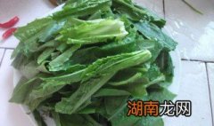 油麦菜怎么好吃做法视频 油麦菜怎么好吃