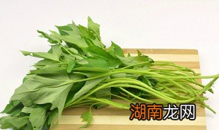 番薯叶的功效与作用 番薯叶的功效与作用有哪些