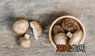 鲜香菇和干香菇哪个好吃 鲜香菇和干香菇哪个营养价值高