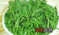 苦菊的功效与作用 苦菊的功效与作用图片