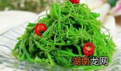 南瓜苗的功效与作用 南瓜苗的功效与作用是什么