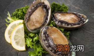 鲍鱼煮多久才可以吃