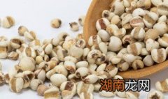 炒薏米怎么炒 炒薏米怎么炒去湿气