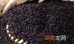 紫米和黑米的区别 紫米和黑米的区别图片