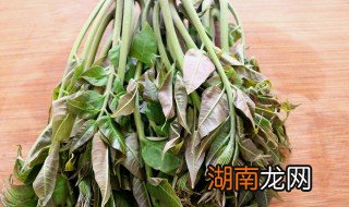 香椿怎么炒好吃又简单 香椿怎么炒好吃