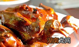 鸽子的营养价值及功效 鸽子的营养