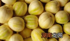 香瓜怎么挑选才甜呢 香瓜怎么挑选才甜呢视频