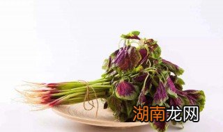 苋菜怎么做好吃 苋菜的最佳吃法