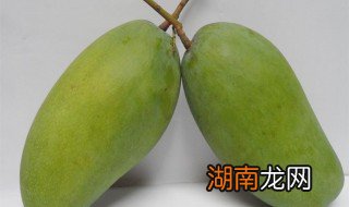 青芒切开发现没熟怎么办 青芒切开发现还没熟要怎么办