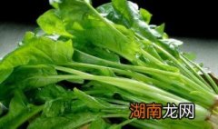 菠菜怎么做好吃又简单 菠菜怎么做好吃又简单又营养