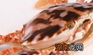 螃蟹种类图片 螃蟹种类