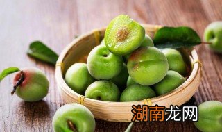 青梅可以直接吃吗有毒吗 青梅可以直接吃吗
