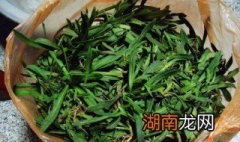 面条的野菜 面条棵野菜如何吃