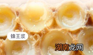 蜂王胎怎么吃 蜂王胎怎么吃,一次吃多少?