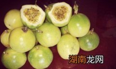 芭乐果 怎么吃 芭乐果怎么吃呢