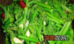 南瓜藤的做法家常菜十 南瓜藤的做法家常菜