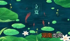 立夏吃什么传统食物?