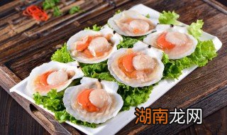 扇贝丁的做法大全家常 扇贝丁做法大全家常炒菜