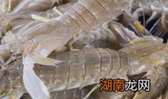 海龙虾怎么做好吃 海龙虾怎么做好吃视频