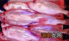 红娘鱼怎么做好吃 红娘鱼怎么做好吃又简单视频