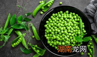 豌豆米怎么做好吃怎么炒好吃 豌豆米怎么做好吃