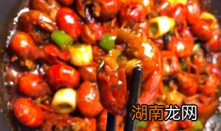 龙虾怎么烧好吃 大龙虾怎么做才好吃又简单