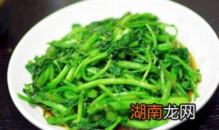 西洋菜怎么做好吃又简单 西洋菜怎么做好吃