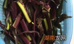紫菜苔怎么做才好吃 苔子菜怎么做好吃