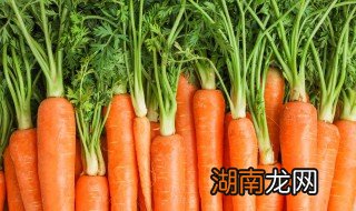 胡萝卜肉馅怎么调好吃