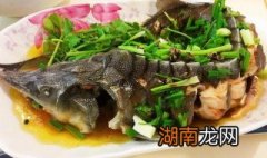 炖鲟鱼的做法大全家常做法 炖鲟鱼的做法大全家常