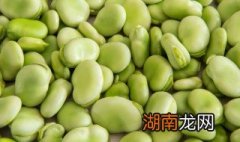 水煮蚕豆怎么做 水煮蚕豆怎么煮好吃制作