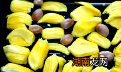 菠萝蜜的籽怎么做好吃 菠萝蜜的籽怎么做好吃又简单