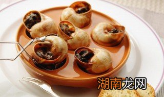 蜗牛肉怎么做好吃又简单 蜗牛肉怎么做好吃