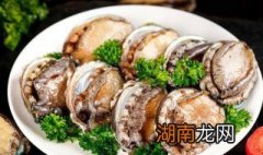 小鲍鱼怎么做好吃又简单方便视频 小鲍鱼怎么做好吃