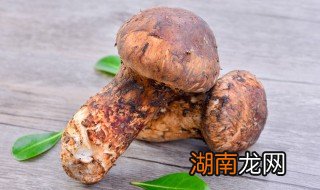 松茸菇怎么吃好吃又简单 松茸菇怎么吃