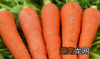 水果胡萝卜怎么吃