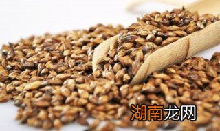 大麦米怎么吃法 大麦米怎么吃