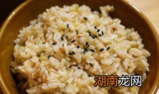 糙米饭怎么煮容易烂 糙米饭怎么才能煮熟