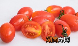 小西红柿是转基因的吗 各种颜色的小西红柿是转基因的吗